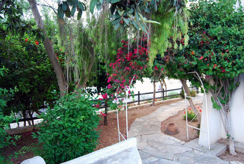 Margarita 110 - Newly Renovated Apartment Paphos Room photo